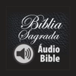 Logo of Holy Bible in Audio android Application 